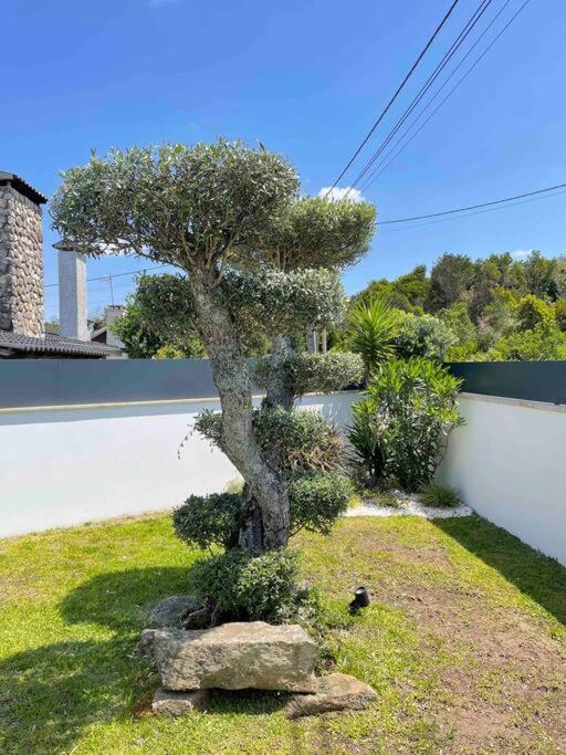 Vila Praia de Âncora Villa - Ancora - 300 Metres De L'Ocean מראה חיצוני תמונה
